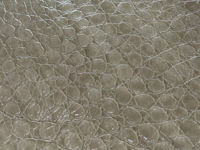 Reptile & Bird  Vinyl