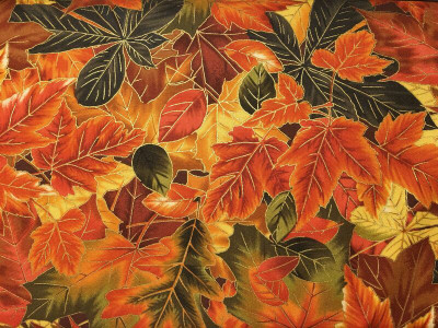Fall Season Fabric