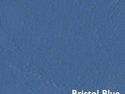 Blue Automotive Vinyl