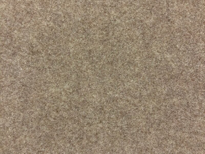 Marine Carpet