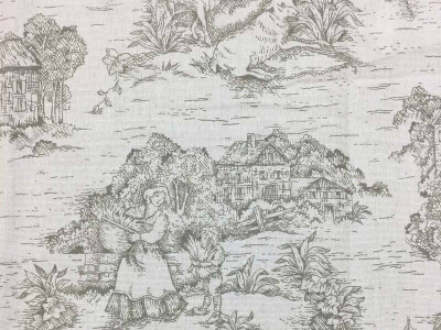 Toile Fabric