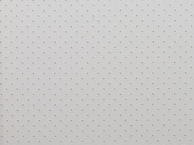 Perforated Automotive Vinyl