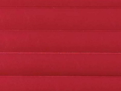 Seaquest American Beauty