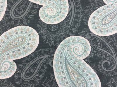 Paisley Fabric