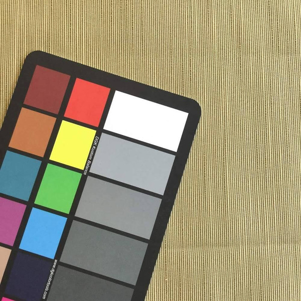 Chartreuse with Horizontal Slubs | Drapery Fabric | 55 Wide | By the Yard |