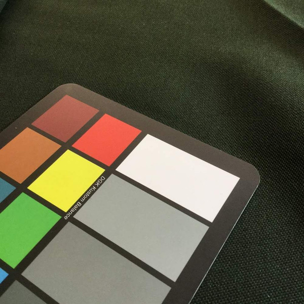 1.5 Yard Piece of Sunbrella Tint Moss | Furniture Weight Fabric | 54 Wide | BTY | 40532-000