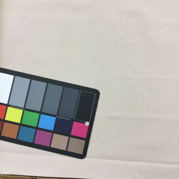 Solid Beige | Home Decor Fabric | 54" Wide | By the Yard