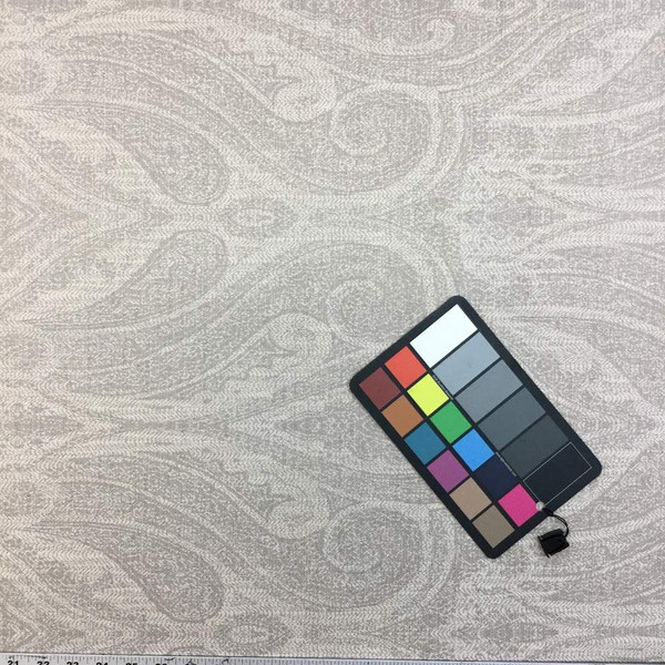 1.37 Yard Piece of Sunbrella Elmhursk Antique  | 145093-0000| Furniture Weight Fabric |54| BTY