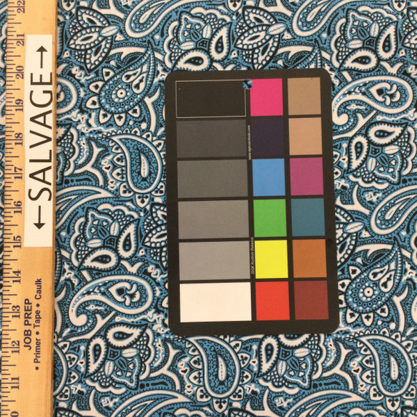 Paisley Quilting Fabric | Blue and White | 100% Cotton | 44" Wide | By the Yard