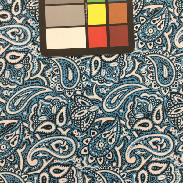 Paisley Quilting Fabric | Blue and White | 100% Cotton | 44" Wide | By the Yard