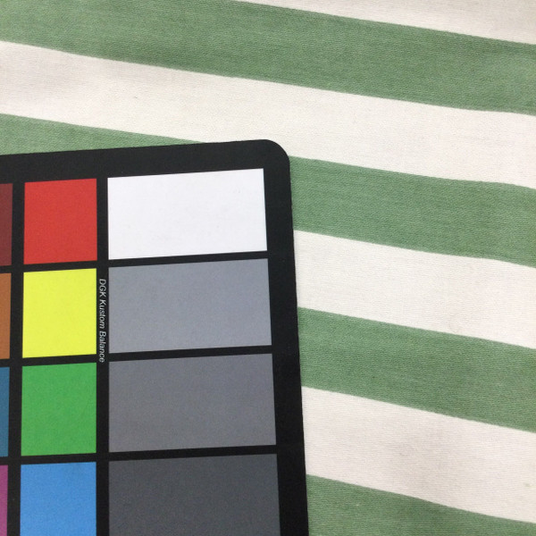 Vertical Stripes in Mint Green and Natural | Printed Home Decor Fabric | By The Yard | 54 Inch Wide