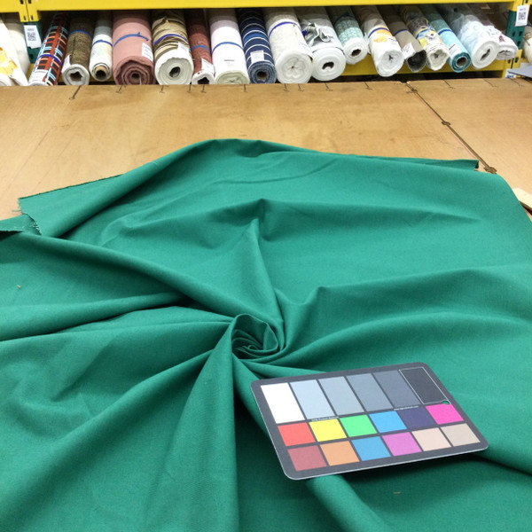 Forest Green Cotton Canvas / Duck Fabric | 7 oz. | Slipcovers | 54" Wide | By the Yard