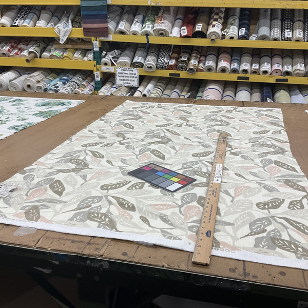 Botanical Leaves Home Decor Fabric | Grey / Taupe / Pink / Off White | Curtains / Light Upholstery | 100% Cotton | 54" Wide | By the Yard | PKL Studio "Field Notes" in Biscotti
