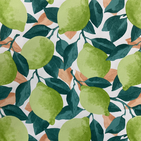 Richloom Solarium Outdoor Citrus Lime | Medium Weight Outdoor Fabric | Home Decor Fabric | 54" Wide