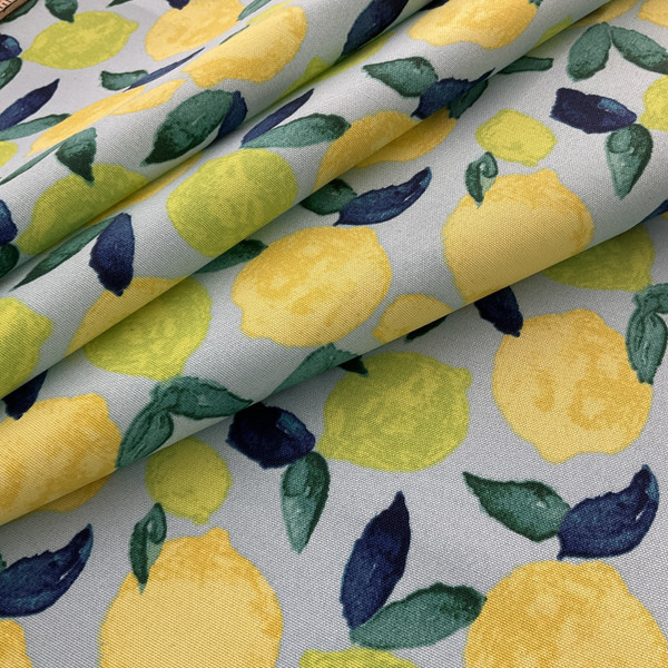 PKL Studio Citrus Squeeze Outdoor Turquoise | Medium Weight Outdoor Fabric | Home Decor Fabric | 54" Wide