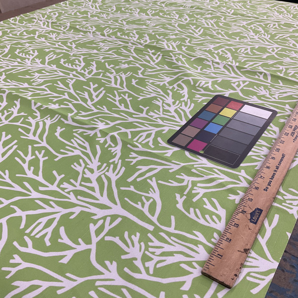 Comersan Fabrics Manglar Duck Green/White | Lightweight Duck Fabric | Home Decor Fabric | 55" Wide