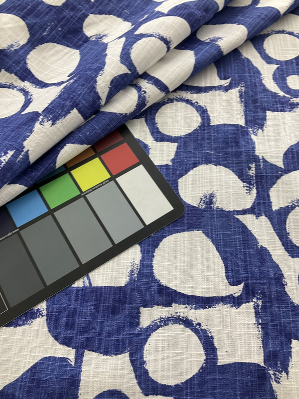 Premier Prints Into The Wild Revolve Slub Canvas Commodore Blue | Medium/Heavyweight Canvas Fabric | Home Decor Fabric | 54" Wide