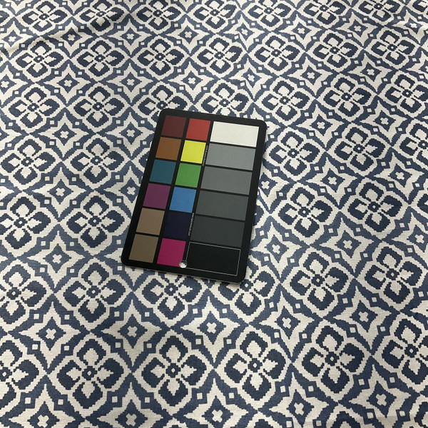 Laura & Kiran Rabat Print Duck Denim | Medium Weight Duck Fabric | Home Decor Fabric | 54" Wide