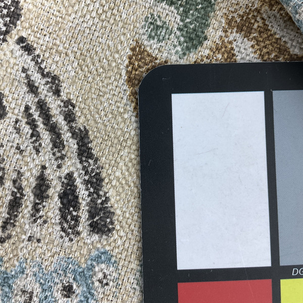 PKL Studio Peacock Parade Slub Duck Espresso | Medium Weight Duck Fabric | Home Decor Fabric | 54" Wide