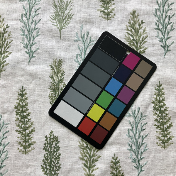 Woodlands in Sage | Embroidered Drapery Fabric | Foliage in Green | Medium Weight | 54" Wide | By The Yard