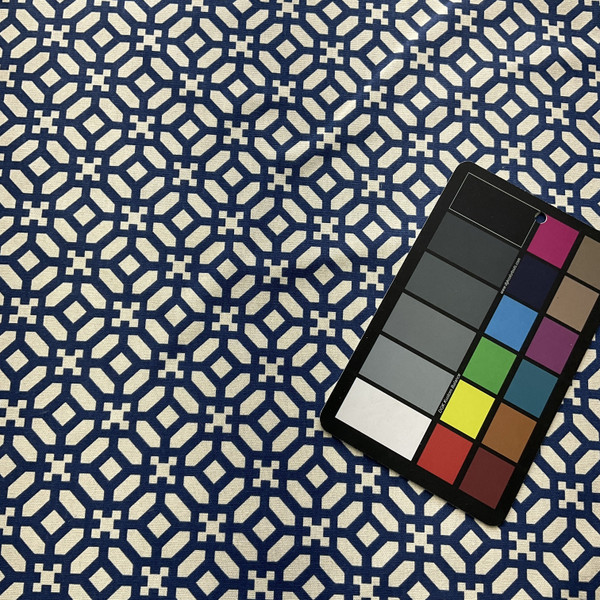 In the Frame in Bluejay | Home Decor Fabric | Blue White Lattice | Medium Weight | Waverly | 45" Wide | By the Yard