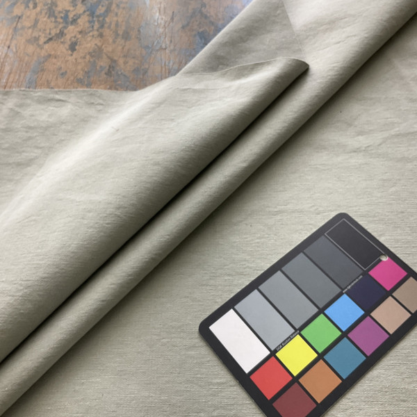 Andes in Silver Spruce | Upholstery / Slipcover Fabric | Muted Green Canvas | Medium-Heavyweight | 54" Wide | By the Yard