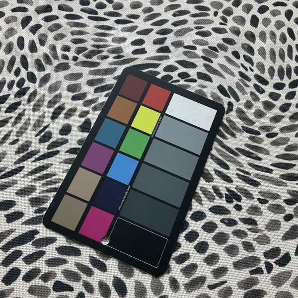 P.KAUFMAN EVERLY In Color DALMATION Printed home Decor Fabric | By the Yard