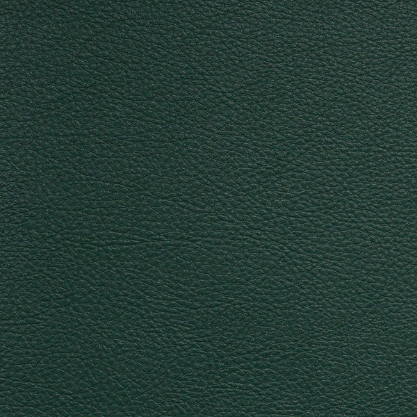 Nassimi Classic in Appalachian / Forest Green | Premium Upholstery Vinyl | Auto / Commercial / Home | Extra Durable | 54" Wide | BTY