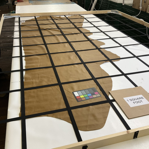 New Promenade in Camel Tan | Leather Cowhide | 28Square Feet | 2.5 Ounce / 1 mm