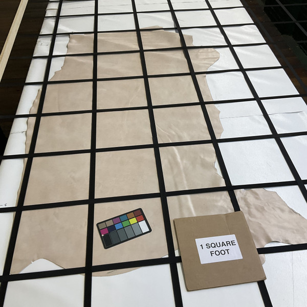 Canyon in Whisper Pink | Patent Leather Cowhide | 20 Square Feet | 3 Ounce / 1.3 mm