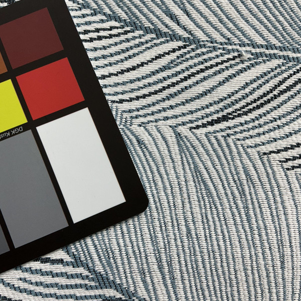 Richloom Fortress Clear Flutter in Cloud | Upholstery Fabric | Leaf Design in Blue and White | Heavyweight | 54" Wide | By the Yard