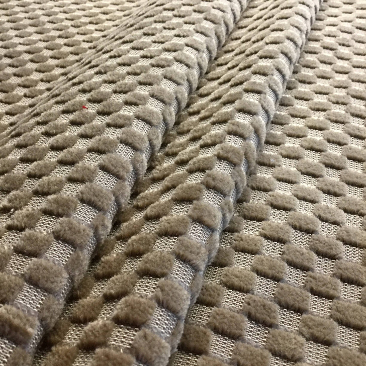 Light Tan | Boxer Velvet Upholstery Fabric | Home Decor | 54 Wide | BTY | Soft