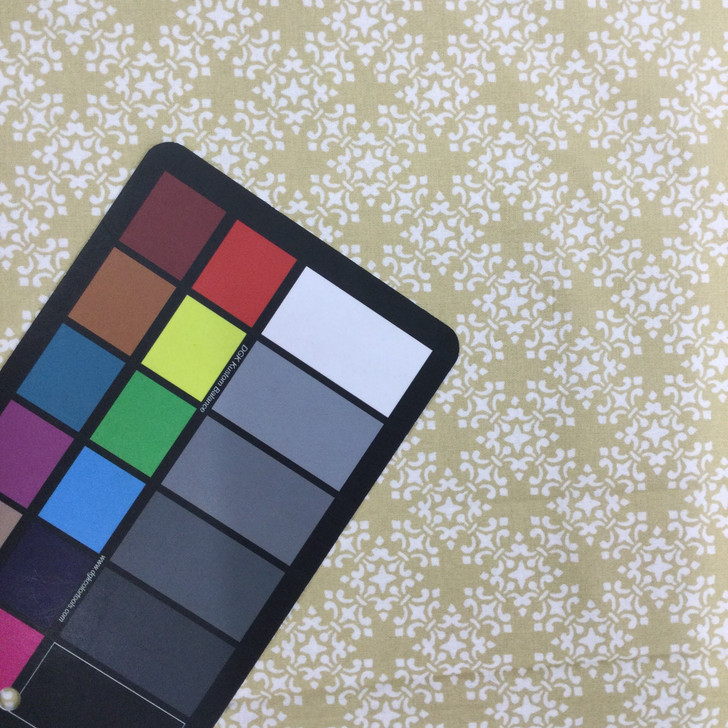 Tan Floral Latticework Print |  Blender | Quilting Fabric | 100% Cotton | 44 wide | By the Yard 3481