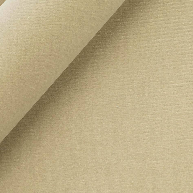 Robert Allen LADY ELSIE FAWN UPHOLSTERY Fabric