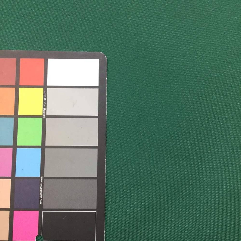 Forest Green - Polyester Duck | 600 Denier Magnatuff Utility Fabric | 59 Wide |
