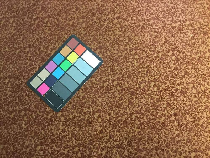 Two Toned Brown Flowering Vine | Upholstery Fabric | 58 Wide | By the Yard