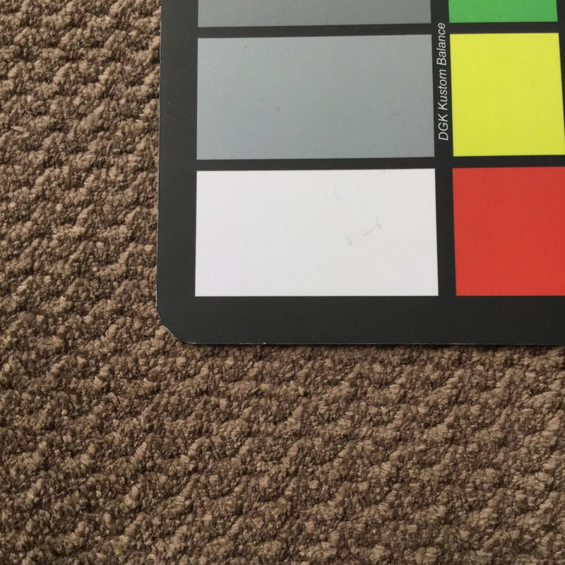 Plush Brown Chenille Fabric | Heavyweight Upholstery | 54 Wide | By the Yard