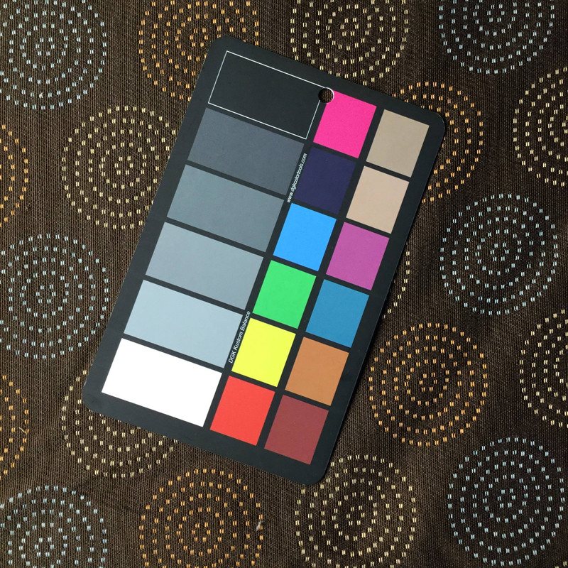 Brown with Dotted Circles | Slipcover / Upholstery Fabric | 54 W | By the Yard