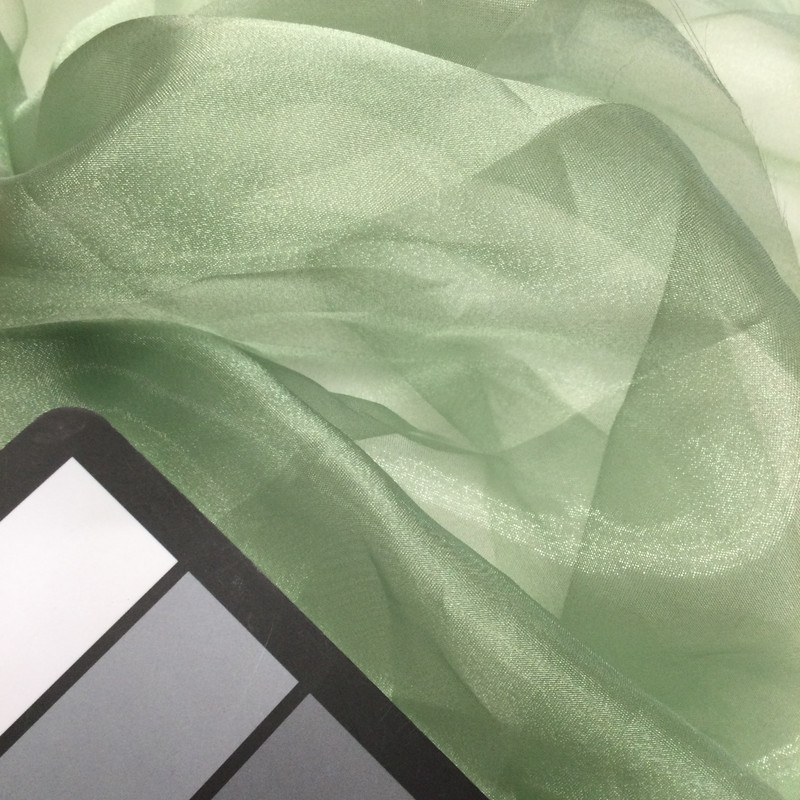Light Celery Green Shimmer Sheer Organza Fabric/ 100 % Polyester / Special occasion / Home Decor / Sold by the Yard/ 60 inch Wide