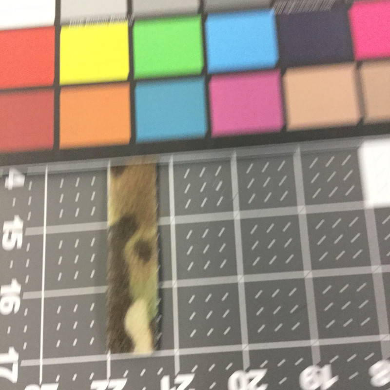 3/4" Velcro Brand LOOP | Green Camouflage | Sew-on Fastener