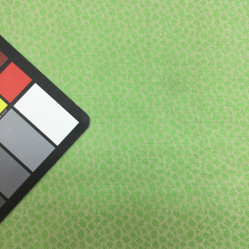 Parrot Green  60 Inch Furniture Weight Indoor / Outdoor Acrylic Canvas Upholstery Fabric