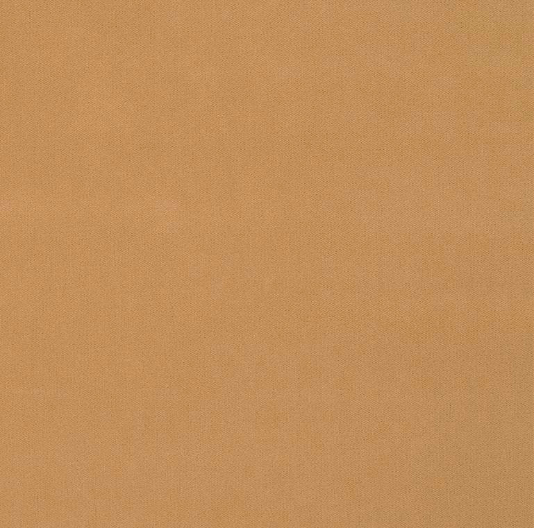 1.55 Yard Piece of Tan Velvet Fabric Upholstery Luxury Robert Allen FOREVER VELVET CAMEL