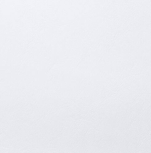 SEAQUEST White Ice Marine & Automotive Vinyl Fabric | PSQ-030 | 54Inch | By The Yard | High UV Stability