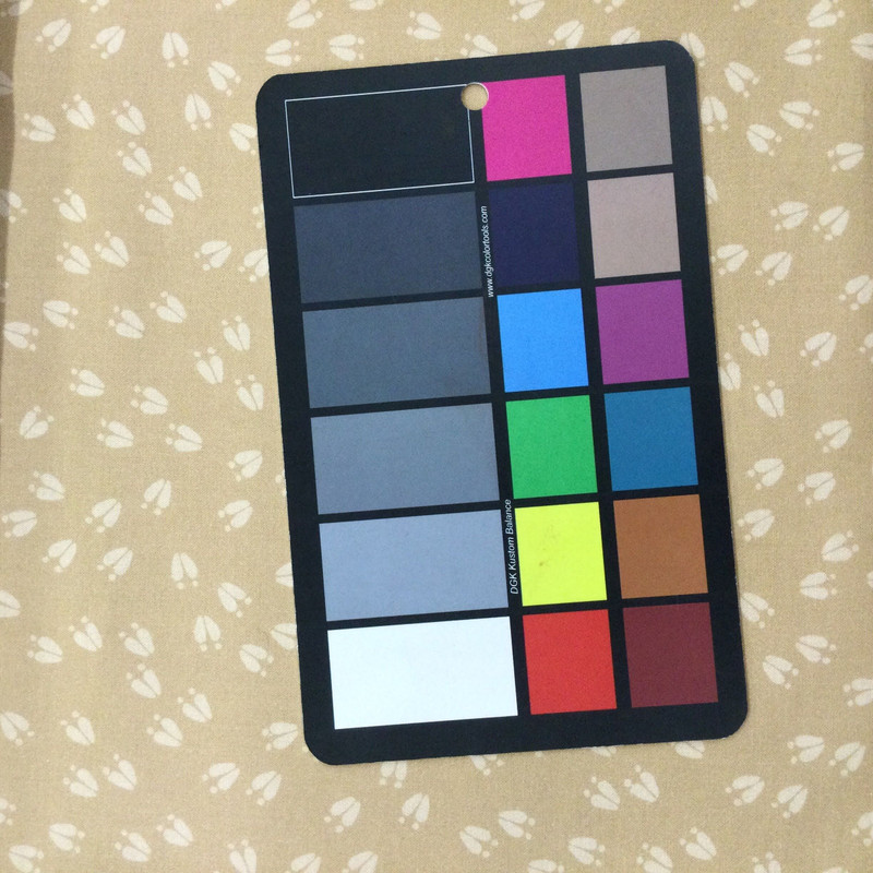 Animals Prints in Tan | Little Critters by P&B Textiles | Quilting Fabric | 100% Cotton | 44 wide | By the Yard 5103