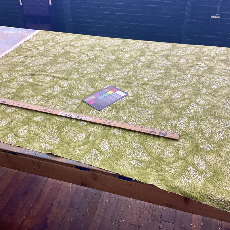 Comersan Fabrics Janeiro Duck Green | Lightweight Duck Fabric | Home Decor Fabric | 55" Wide