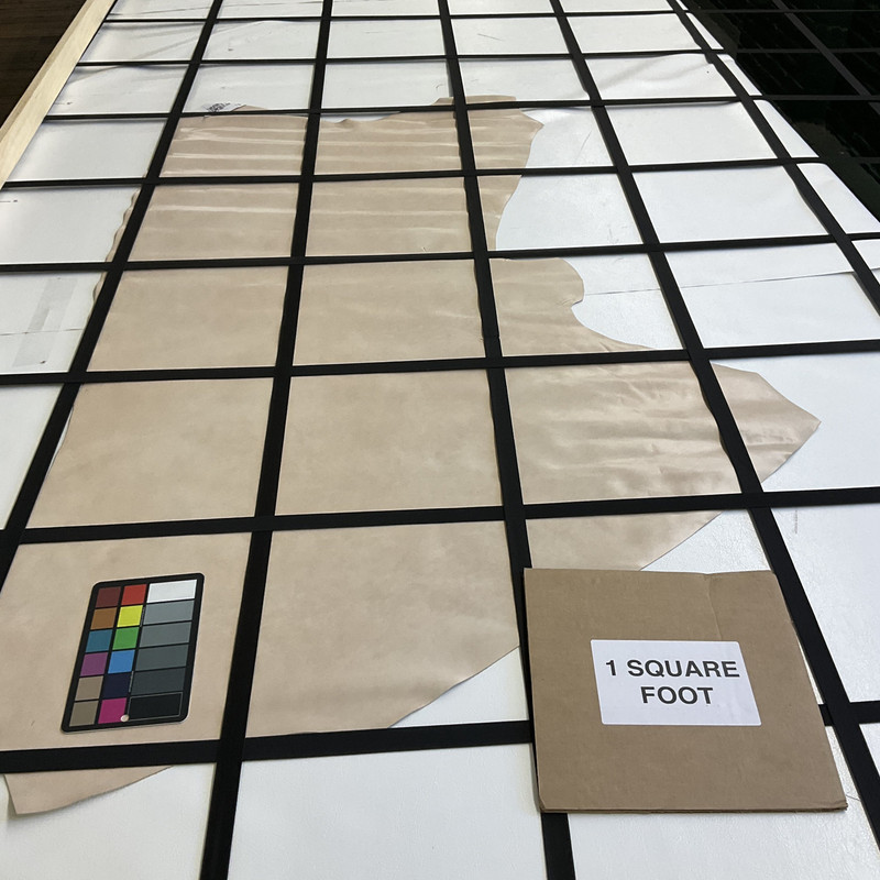 Canyon in Whisper Pink | Patent Leather Cowhide | 11 Square Feet | 3 Ounce / 1.3 mm