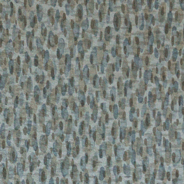 Nassimi IMPRESSION In Color COWRIE 