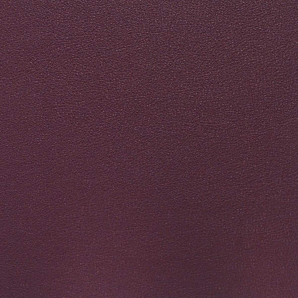 Nassimi SALINGER In Color ACAI VINYL CANVAS | 54 WIDE | BY THE YARD