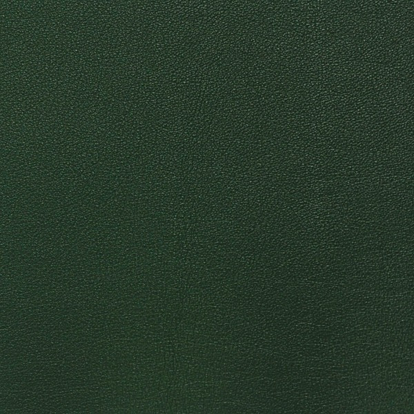 Nassimi SALINGER In Color BOTTLE GREEN VINYL CANVAS | 54 WIDE | BY THE YARD