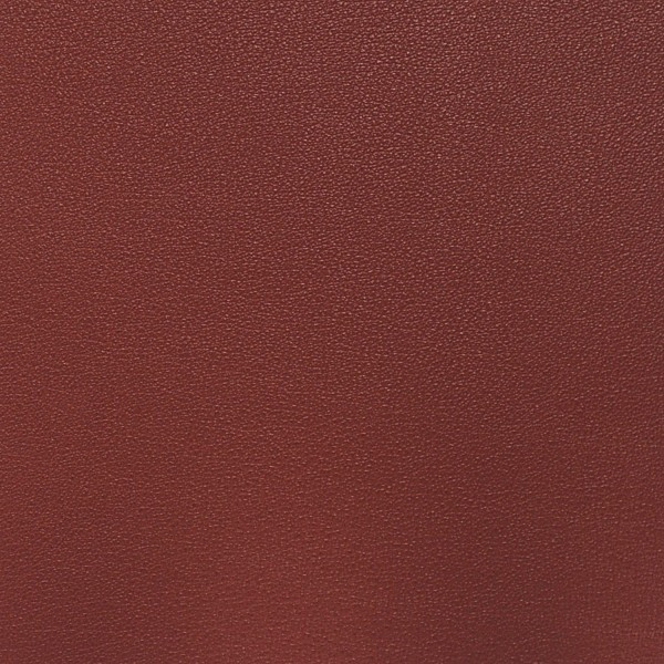 Nassimi SALINGER In Color GOJI VINYL CANVAS | 54 WIDE | BY THE YARD